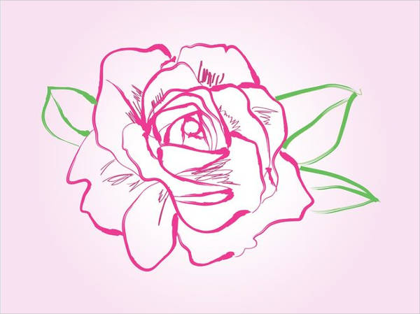 rose drawing vector