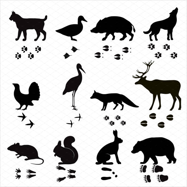 wild animal silhouette vector
