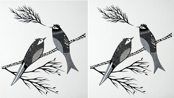 black and white bird sketch