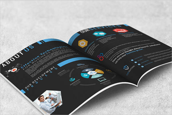 software developer company brochure
