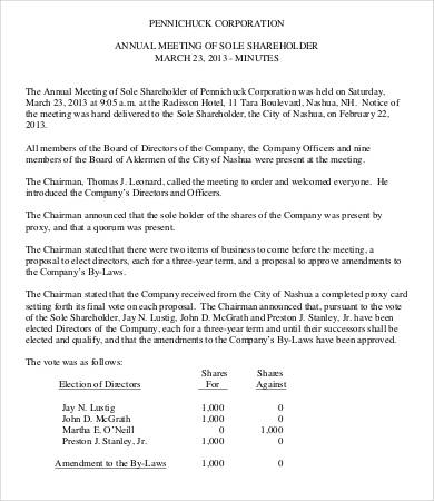 sole shareholder meeting minutes template