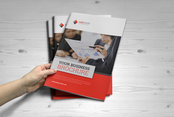 corporate business training brochure