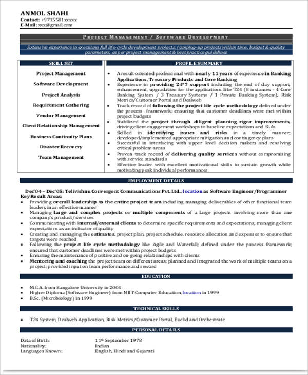 resume format for experienced pdf download