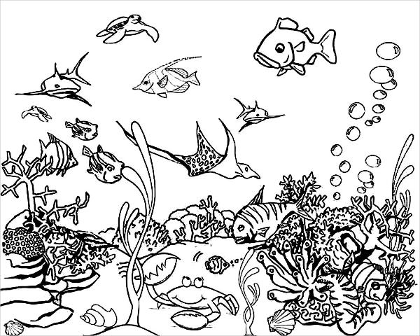 9+ Sea Coloring Pages - JPG, AI Illustrator Download | Free & Premium