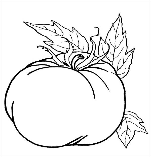 9+ Pumpkin Coloring Pages - JPG, AI Illustrator Download | Free