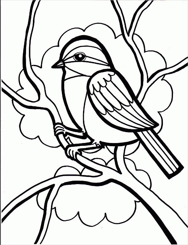 8 Bird Coloring Pages Jpg Ai Illustrator Download Free Premium Templates