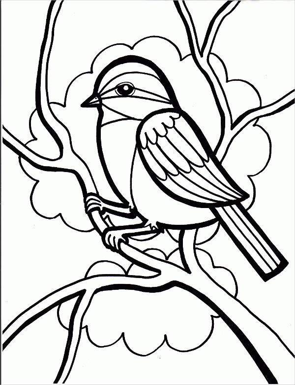 8 Bird Coloring Pages JPG AI Illustrator Download