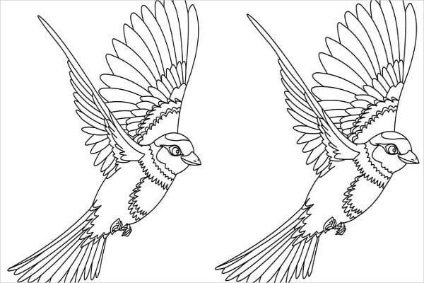 8+ Bird Coloring Pages - JPG, AI Illustrator Download | Free & Premium