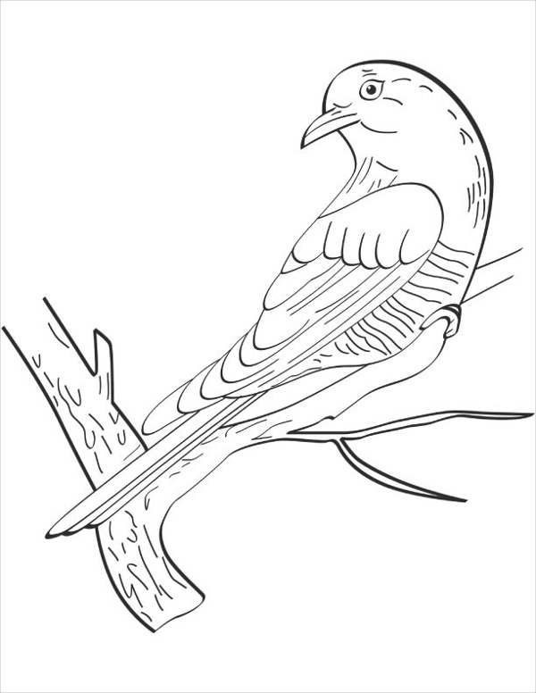 cuckoo bird coloring page