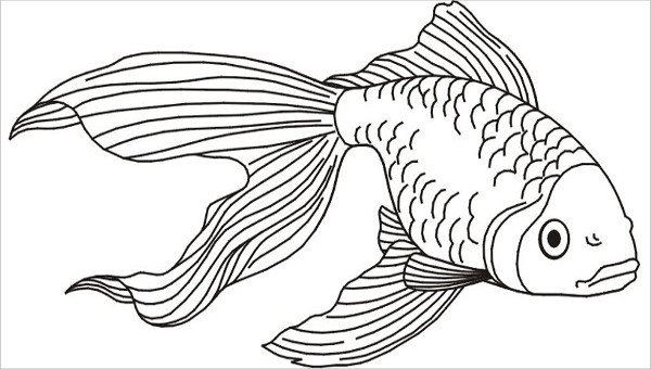 Fish vector illustration template for Coloring book. Drawing