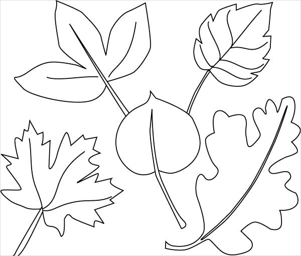 8+ Jungle Coloring Pages - PDF, PNG