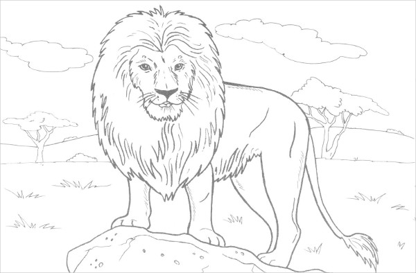 8+ Jungle Coloring Pages - PDF, PNG