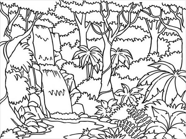 8+ Jungle Coloring Pages - PDF, PNG | Free & Premium Templates