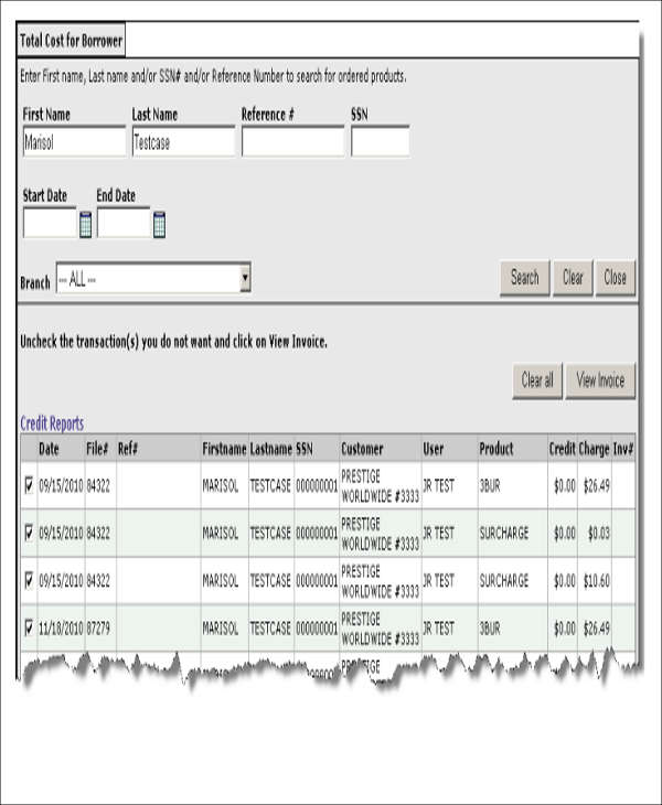 8+ Access Report Templates Word, PDF