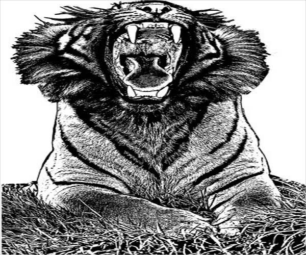7+ Jungle Animal Templates Free Printable Crafts & Colouring Pages