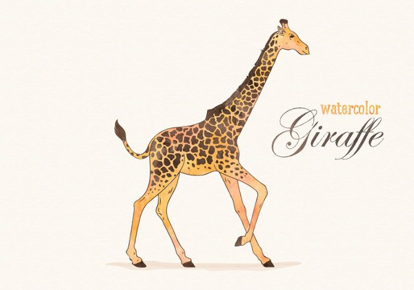 vector giraffe animal template