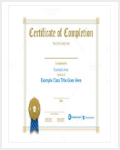 premium-class-certification-certificate-template-eps-10
