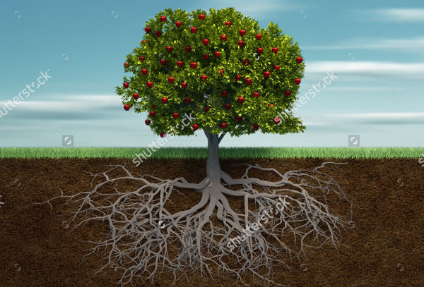 tree roots illustration