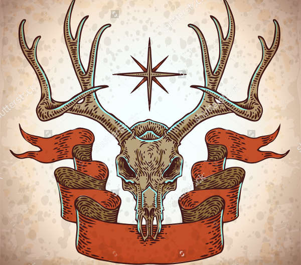 deer skull illustration