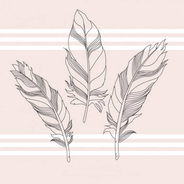 vector feather illustration