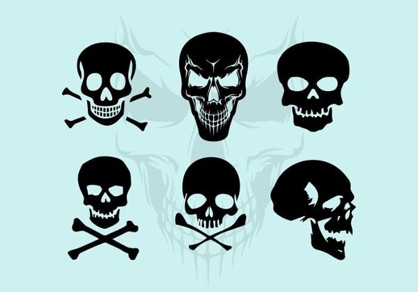 skull illustration vector