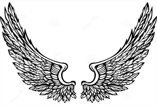 eagle wings illustration