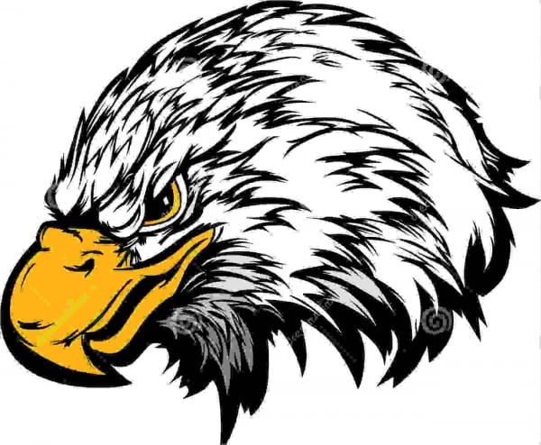eagle mascot illustration