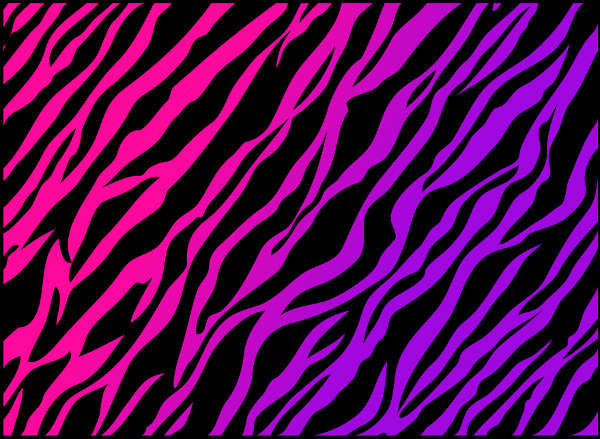 colorful zebra pattern