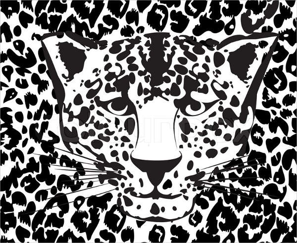leopard animal pattern