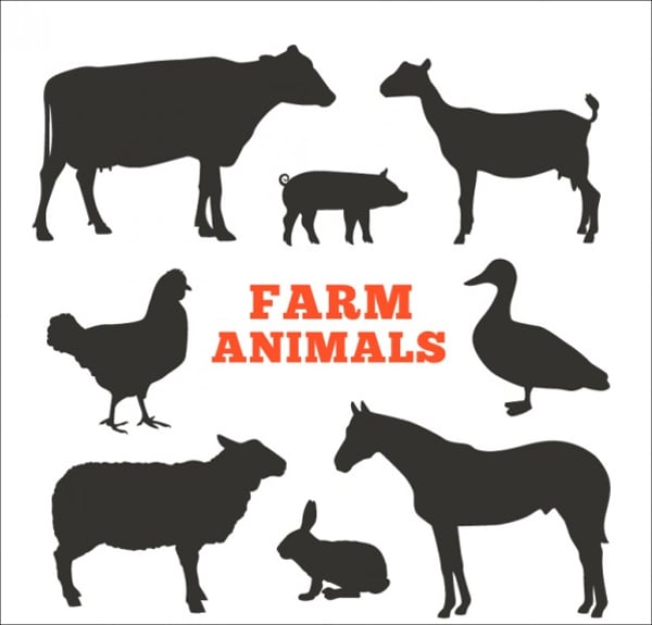 farm animal icon