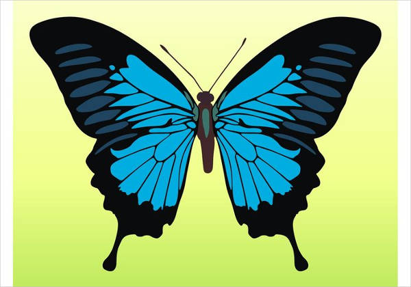 butterfly illustration vector