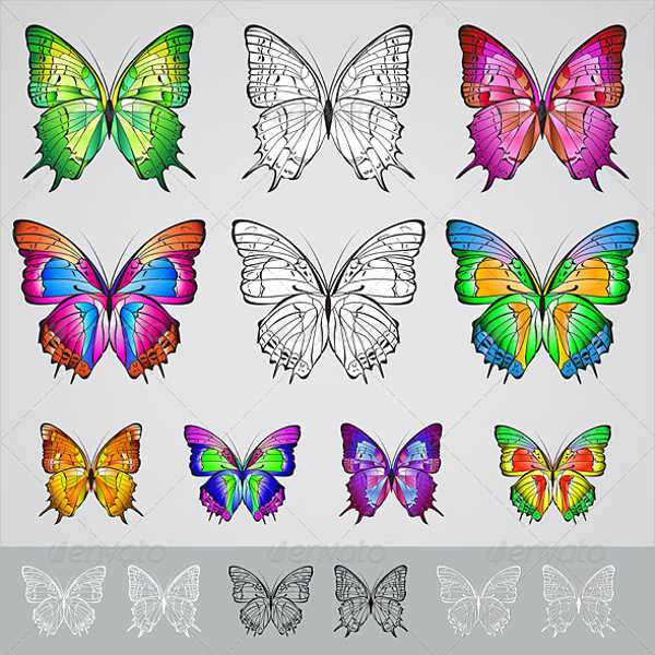 colorful butterfly illustration