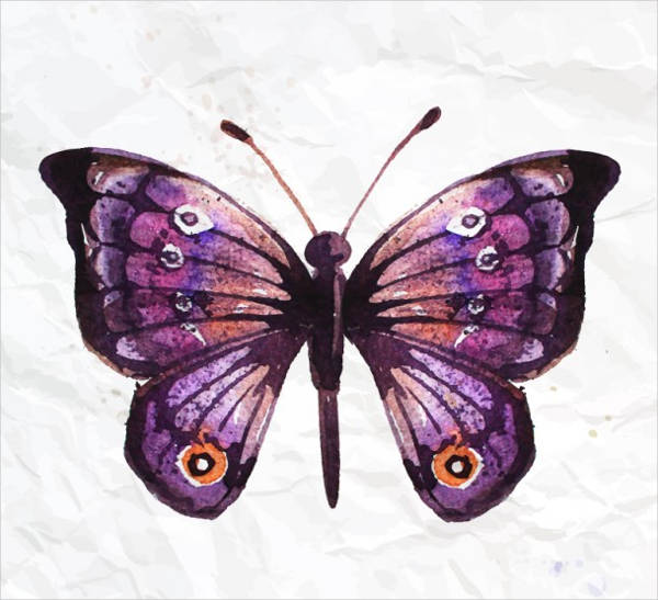 free butterfly illustration