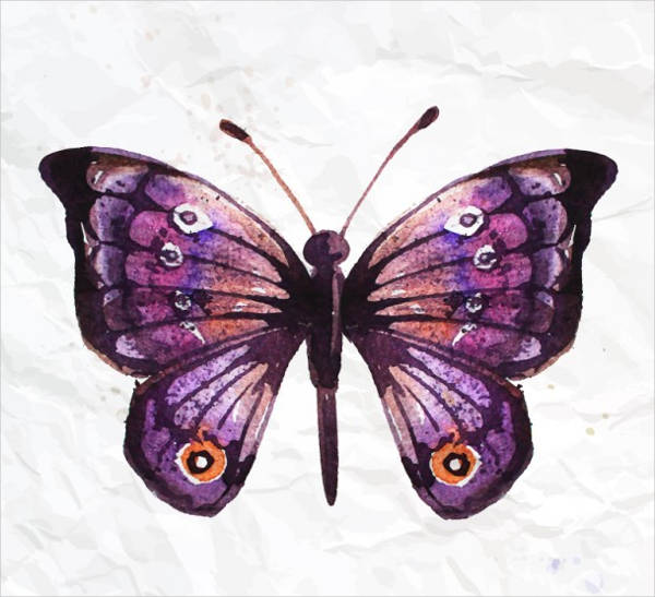 9+ Butterfly Illustrations - Free & Premium Templates | Free & Premium