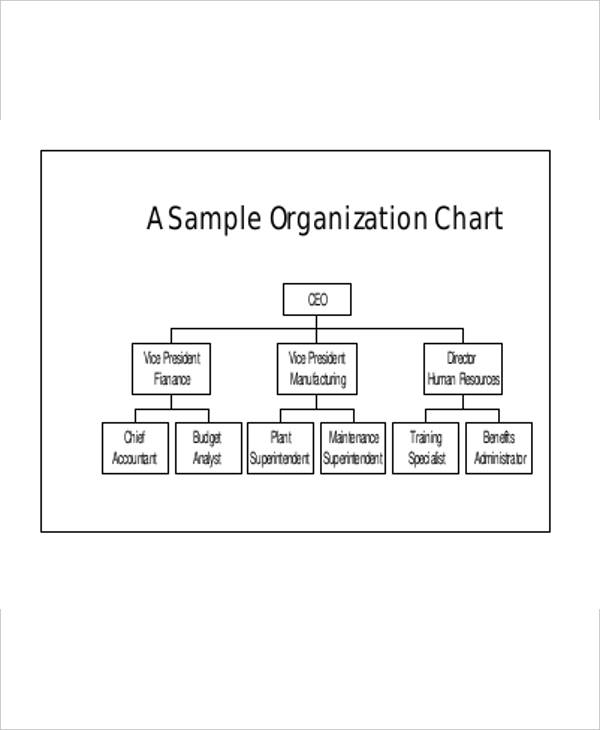 business organization flow chart template