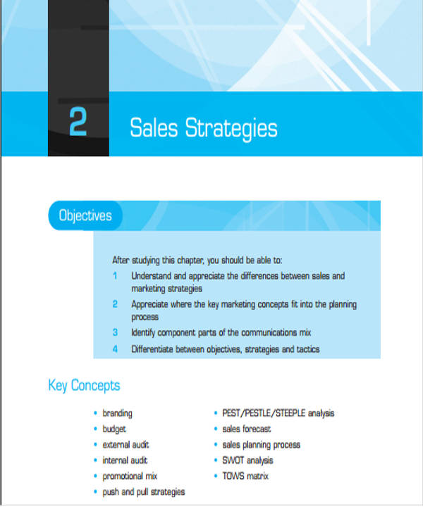 it sales business plan