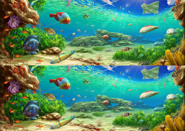 fish underwater painting