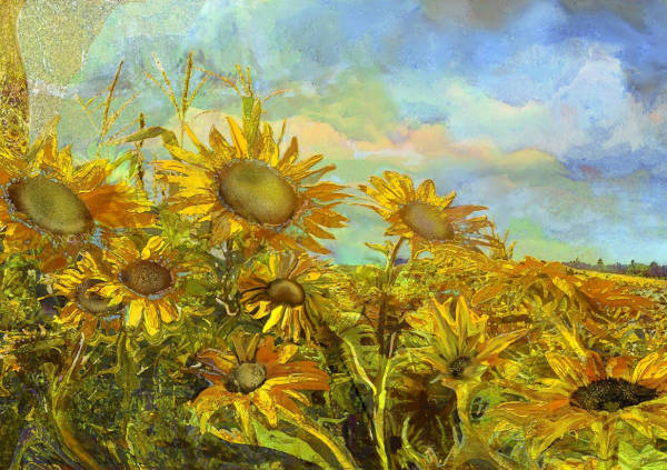 sunflower filed painting