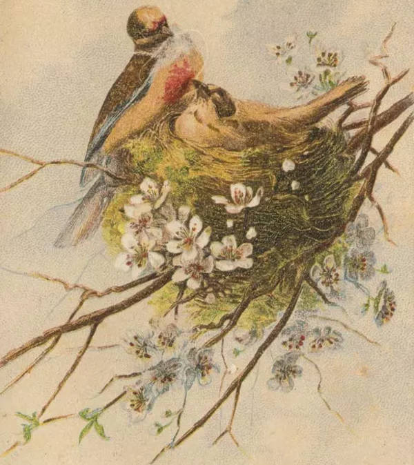 vintage bird painting