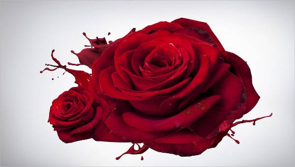 9 Rose Paintings Free Premium Templates Free Premium Templates