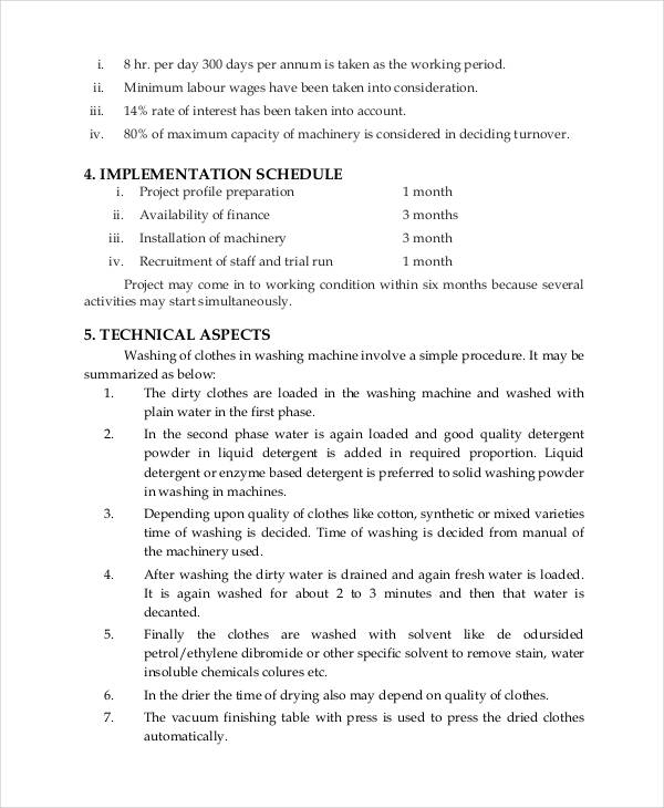 laundry business project report template