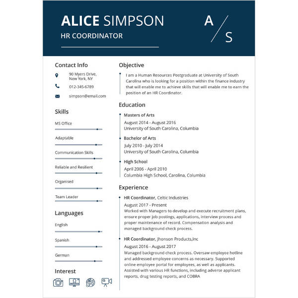 resume templates for experienced professionals