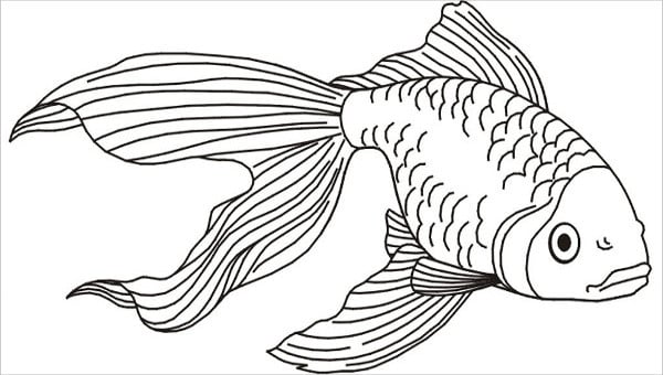 8+ Fish Coloring Pages - JPG, AI Illustrator