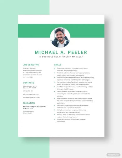 free it business relationship manager resume template
