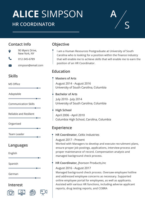 hr executive resume format in word free download