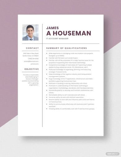 it account manager resume template