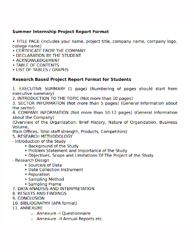 it company business project report template
