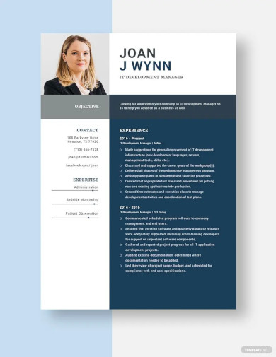 it development manager resume template