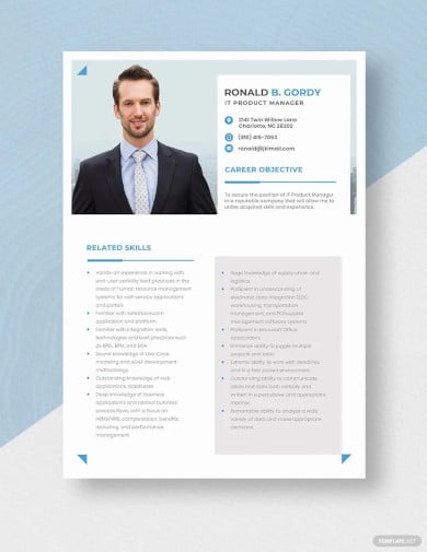 it product manager resume template