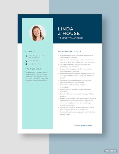 it security manager resume template